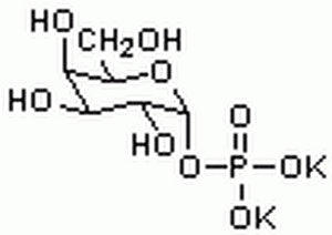 #-D-Galactose-1-phosphate, D 1PC X 100MG