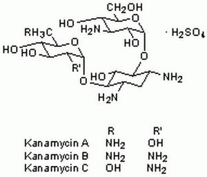 Kanamycin Sulfate, Streptomy 1PC X 25GM