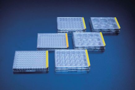 placa de test de cultivo celular pack pequeno