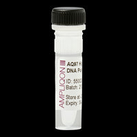 AQ97 High Fidelity DNA Polymerase 2U/µl